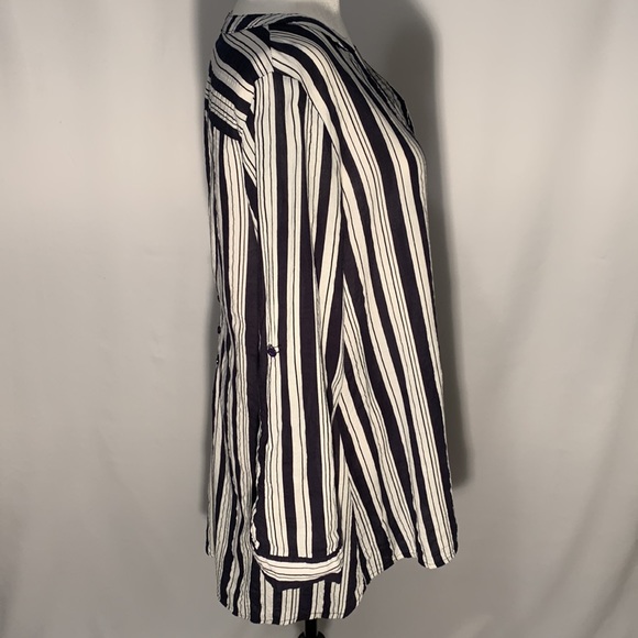 Papllion Size M - Picture 5 of 11